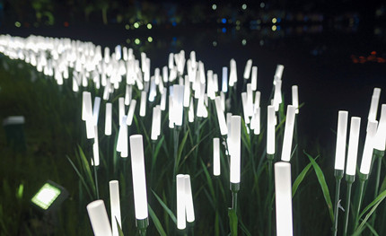 成都世警會正火熱開展，華體用夜景照明這樣添彩世警會