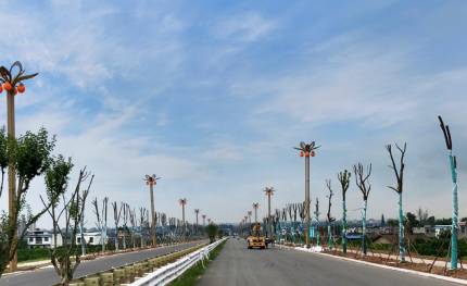 華光|照亮鄉(xiāng)村振興路！