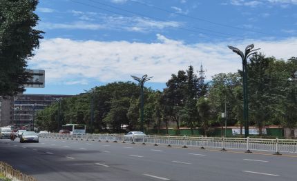 華燈何處有，把酒問宜賓