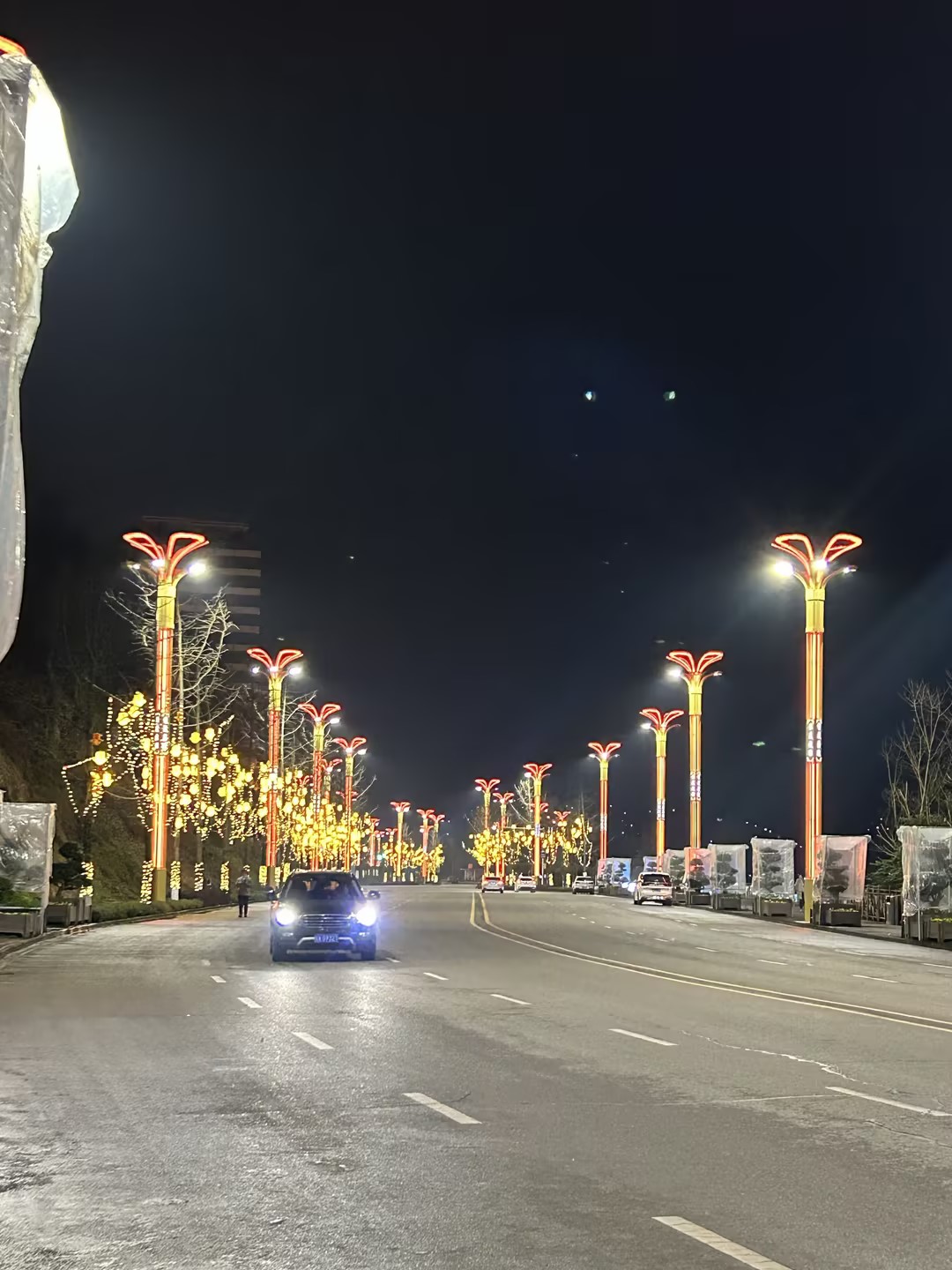 四川廣安 | 嘉陵江畔，銀杏之光舞動(dòng)武勝之夜